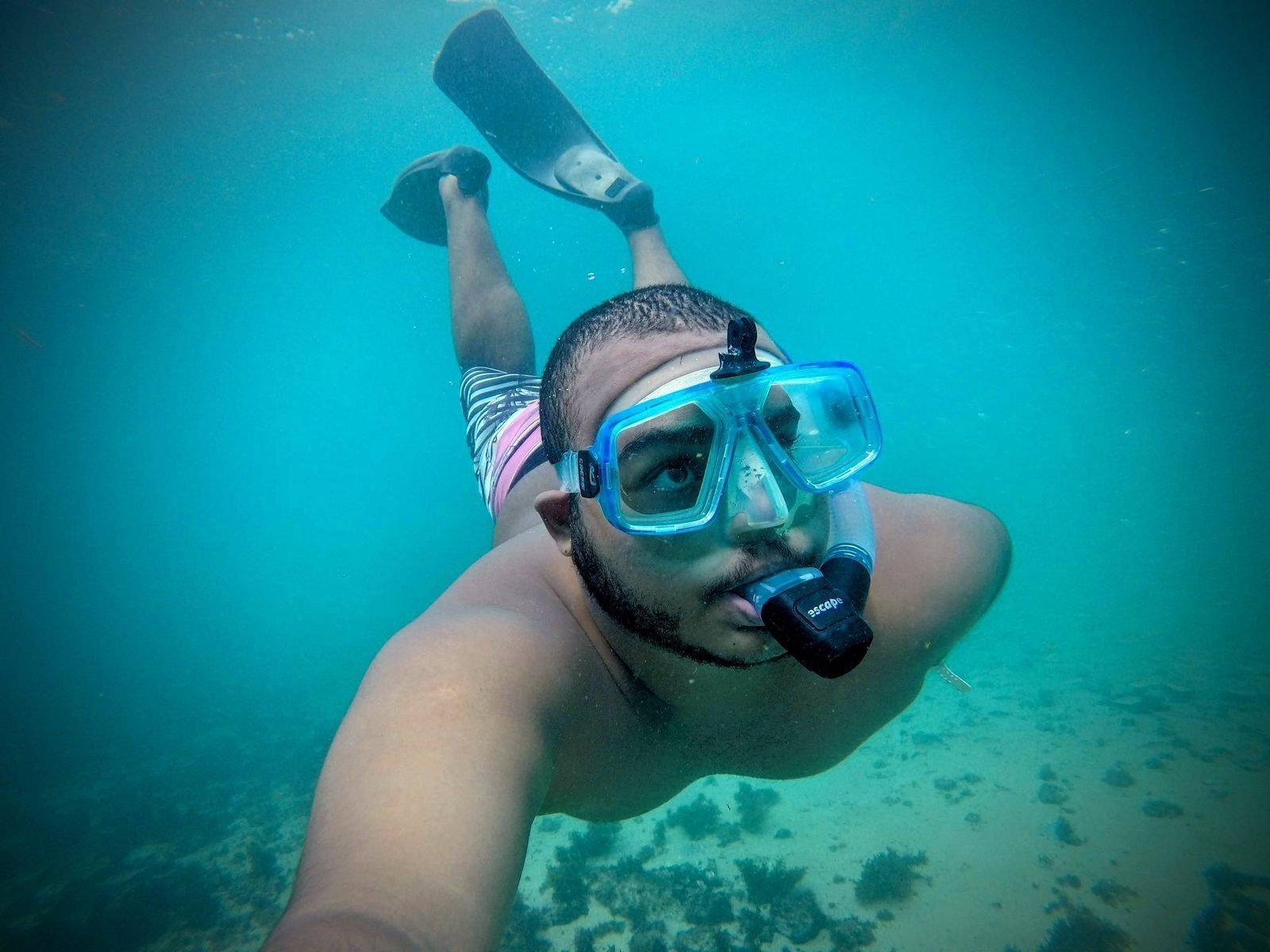 Foto de From fishing nets to screens: my journey from Arraial do Cabo to ocean conservation