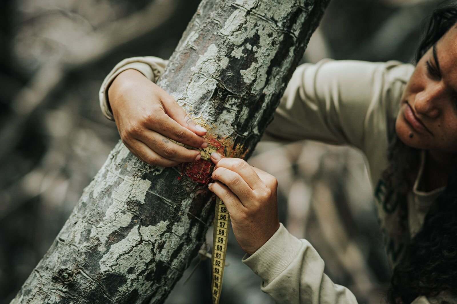 Photo from the essay Mangroves of Caravelas, Bahia