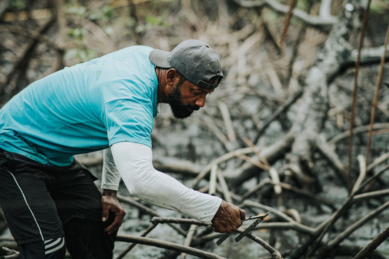 Photo from the essay Mangroves of Caravelas, Bahia