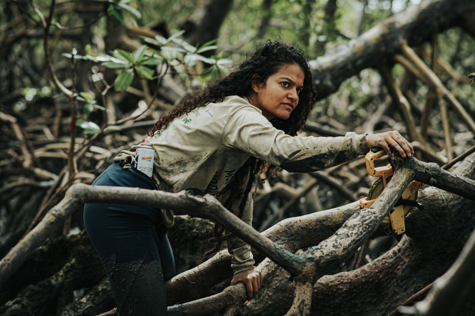 Photo from the essay Mangroves of Caravelas, Bahia