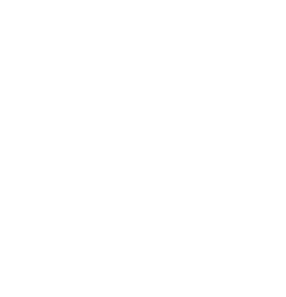 Alma Colorida