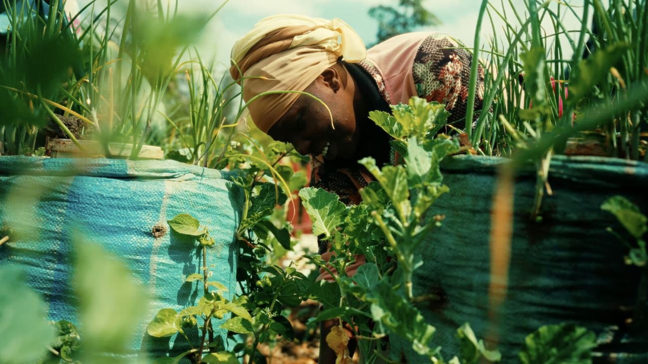 Still from Growing a Greener Mathare